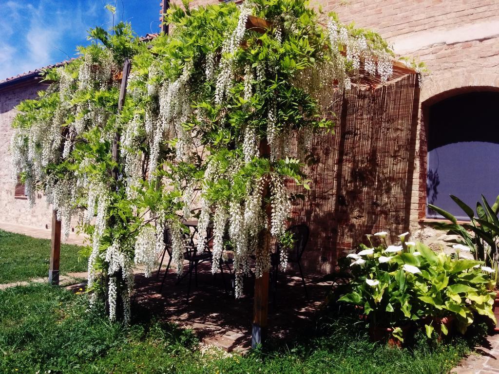 הוילה Frosini La Fornace Di San Galgano מראה חיצוני תמונה