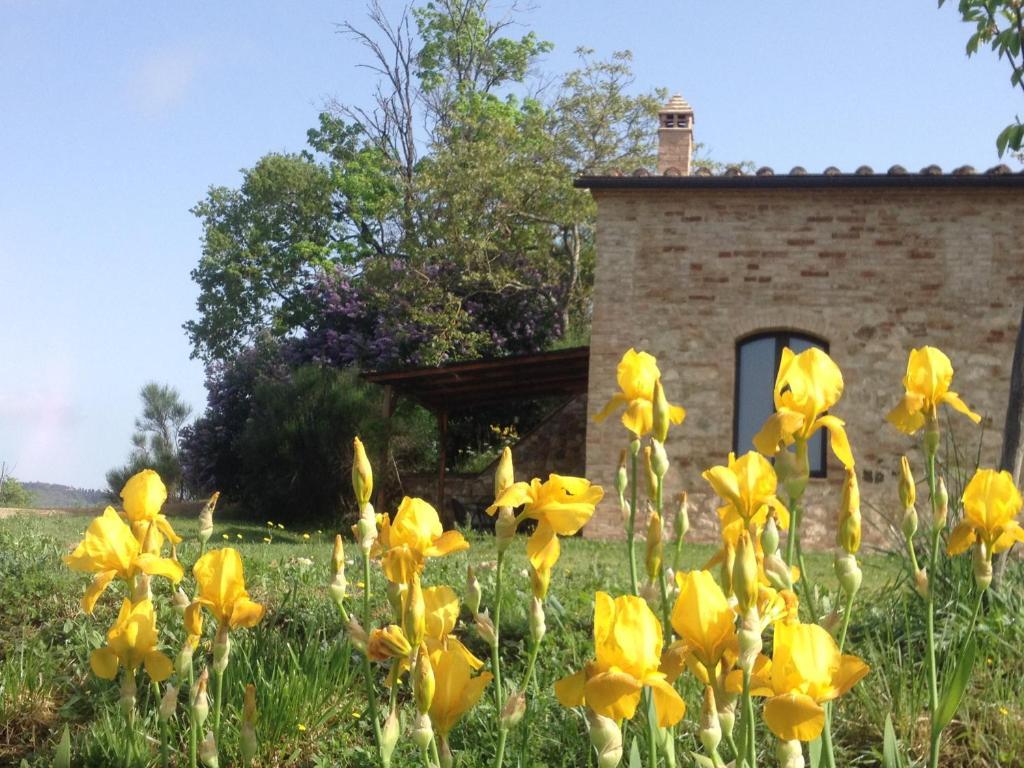 הוילה Frosini La Fornace Di San Galgano מראה חיצוני תמונה